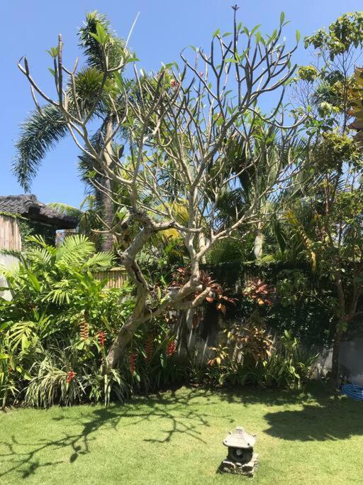 Desa Naga Villa Canggu Exteriör bild